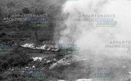 Bois et herbes en feu