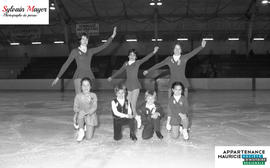 Patineurs artistiques