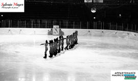 Patineuses artistiques