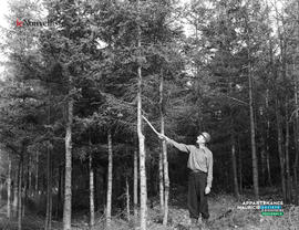 009 - Foresterie