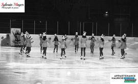 Patineuses artistiques