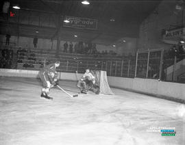 003 - Hockey