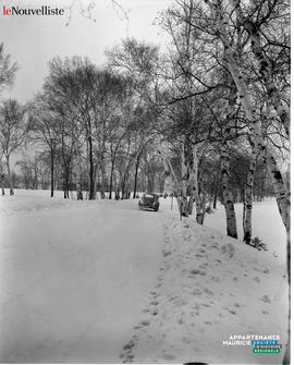 001 - Paysage hivernal