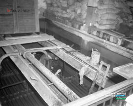 002 - Travaux de nettoyage