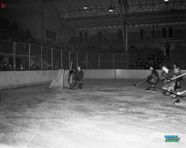004 - Hockey