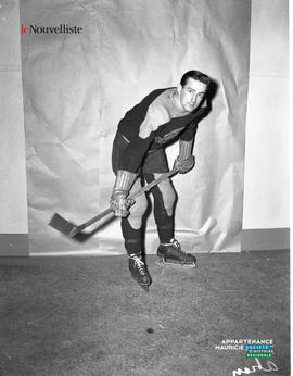 013 - Hockey