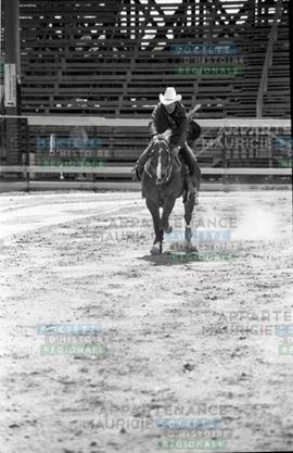 Cavalier sur un cheval