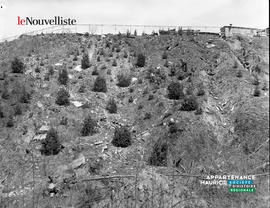001 - Plantation d'arbres à flanc de colline