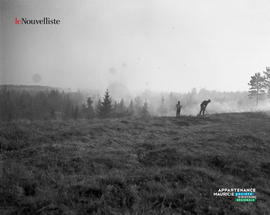 003 - Incendie de forêt