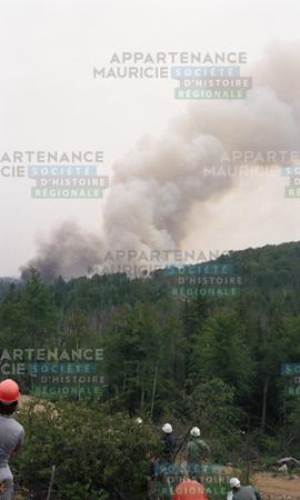 Feu de forêt