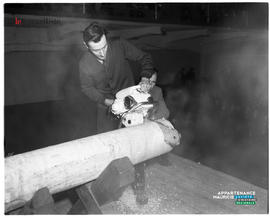 008 - Concours de sciage