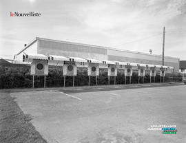 004 - Cibles Fléchette