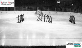 Patineuses artistiques