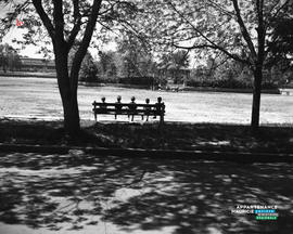 005 - Banc de parc