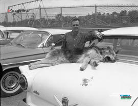 001 - Cadavre de loup