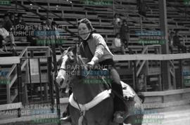 Cavalière sur un cheval