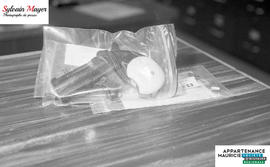 Fusil dans un sac