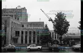 Grue en action