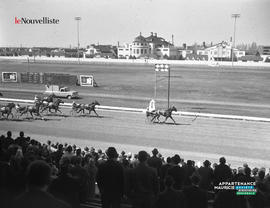 001 - Course de chevaux