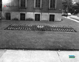 005 - Parterre de fleurs
