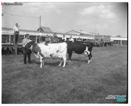 002 - Exposition