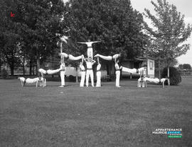 003 - Gymnastique
