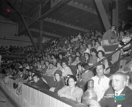 008 - Foule