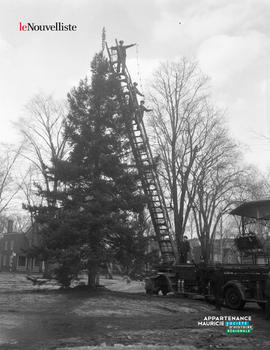 001 - Sapin en train d'être décoré