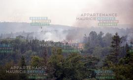 Feu de forêt