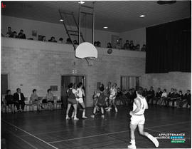 003 - Basketball