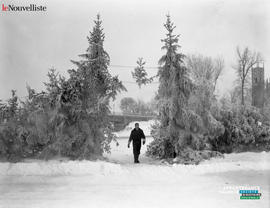 004 - Homme marchant entre deux sapins