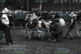 Chevaux attelés