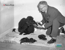 001 - Homme et chiens