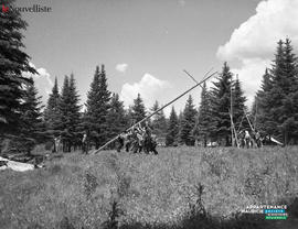 008 - Camp scout