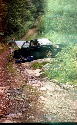 Voiture en forêt