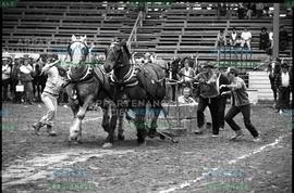Chevaux tirant des objets