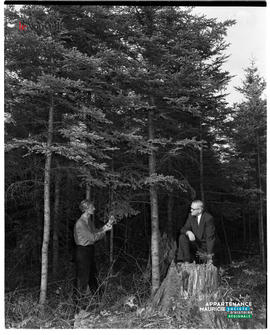 002 - Foresterie