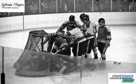 Joueurs de hockey