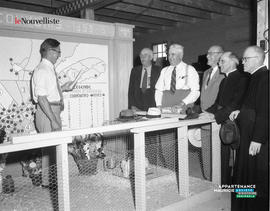 001 - Exposition