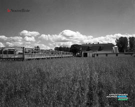 001 - Ferme