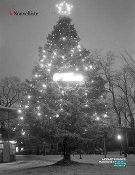 003 - Sapin de Noël