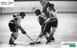 Joueurs de hockey