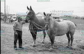 Homme avec chevaux