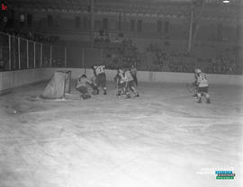 001 - Hockey
