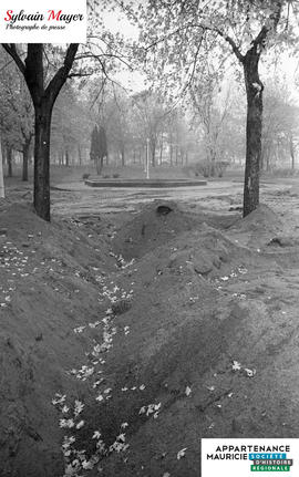 Parc en rénovation