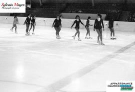 Patineuses artistiques
