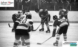 Joueurs de hockey