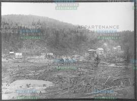 Cleared land adjoining pulp-mill.