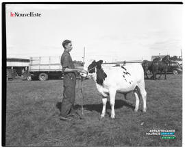 006 - Homme et veau
