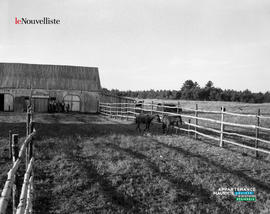 001 - Ferme